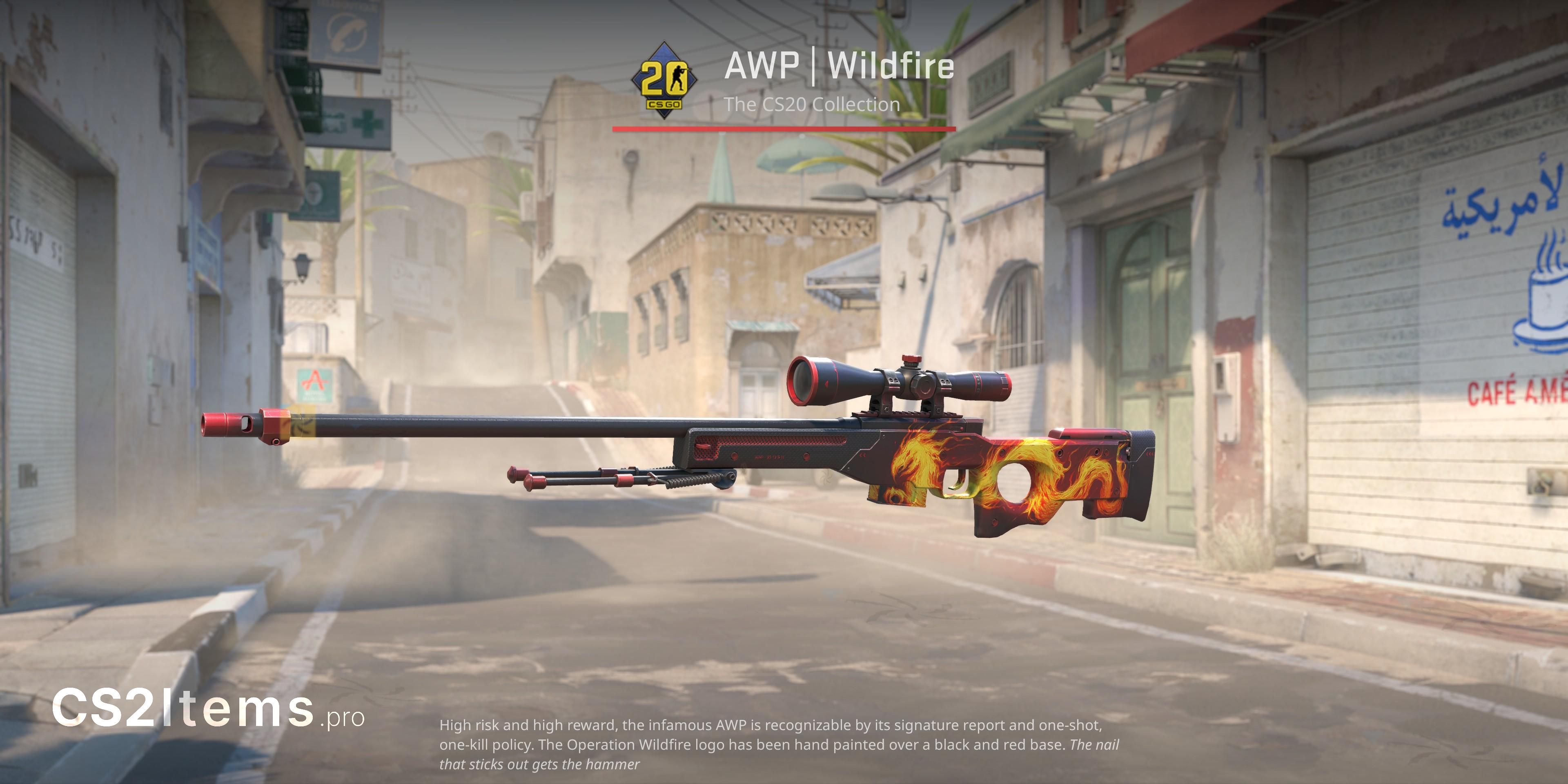 CS2 AWP | 野火 前方