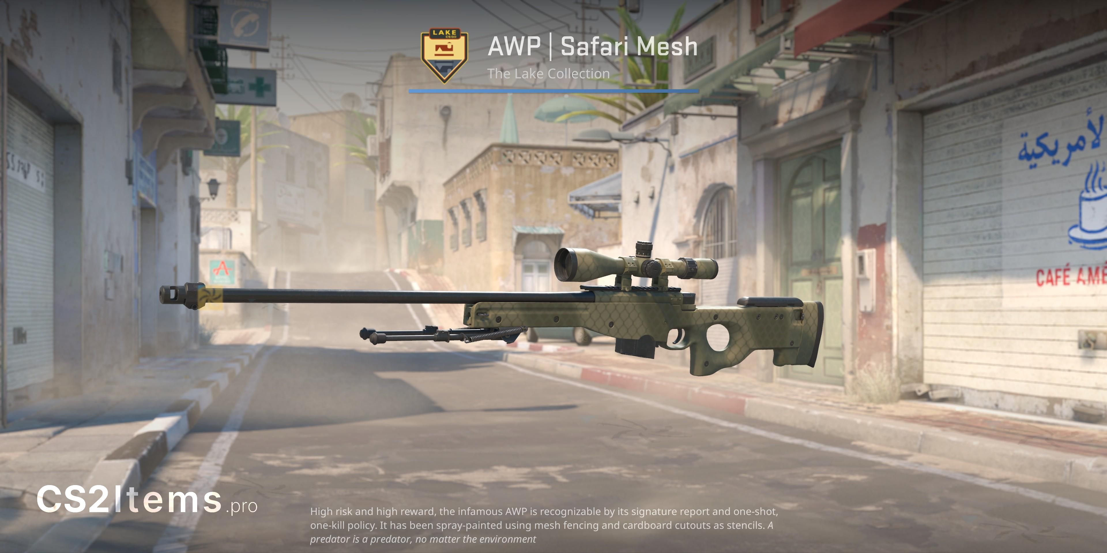 CS2 AWP | Safari Mesh Față