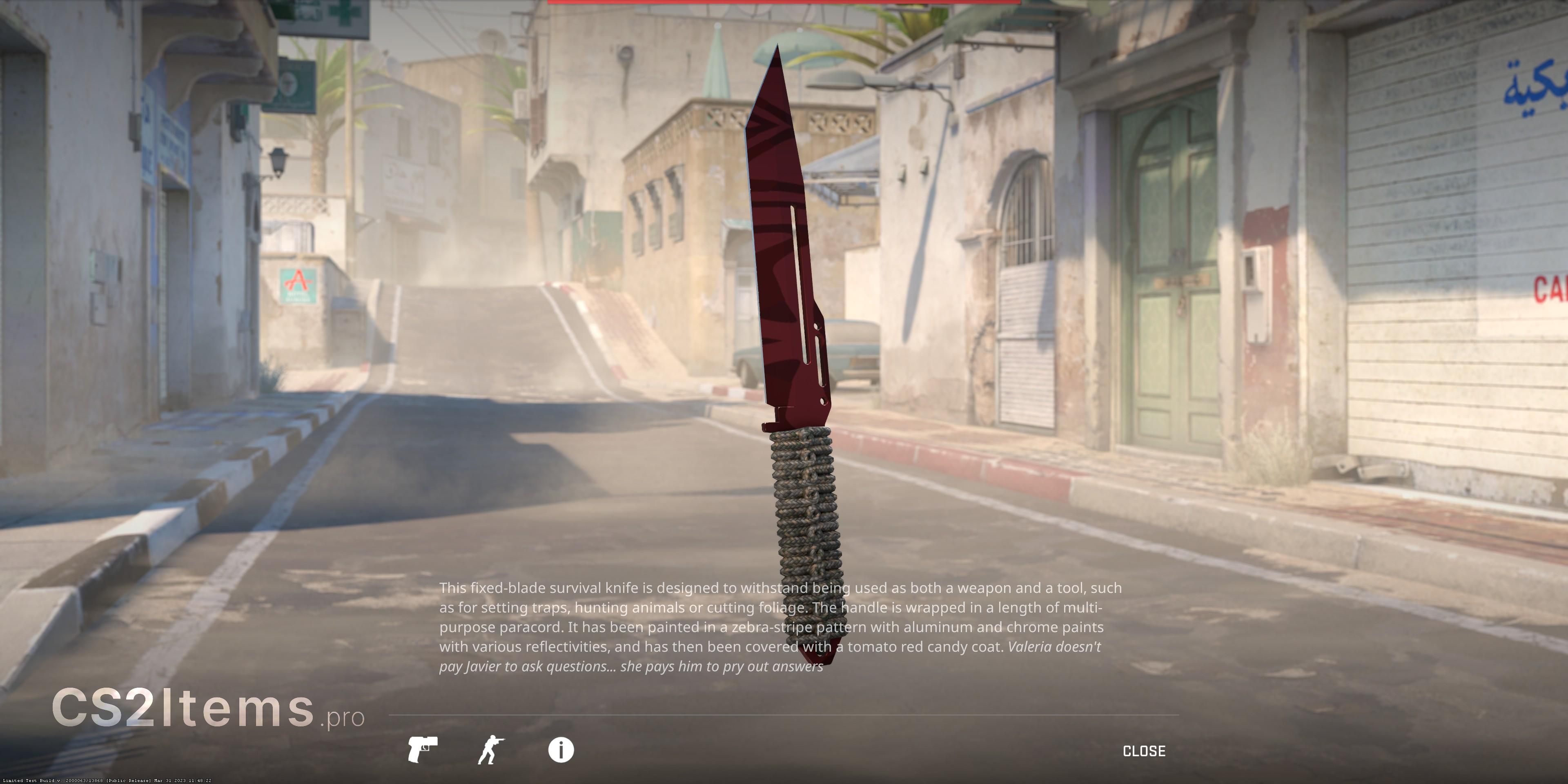 CS2 Paracordkniv (★) | Slaughter Bak