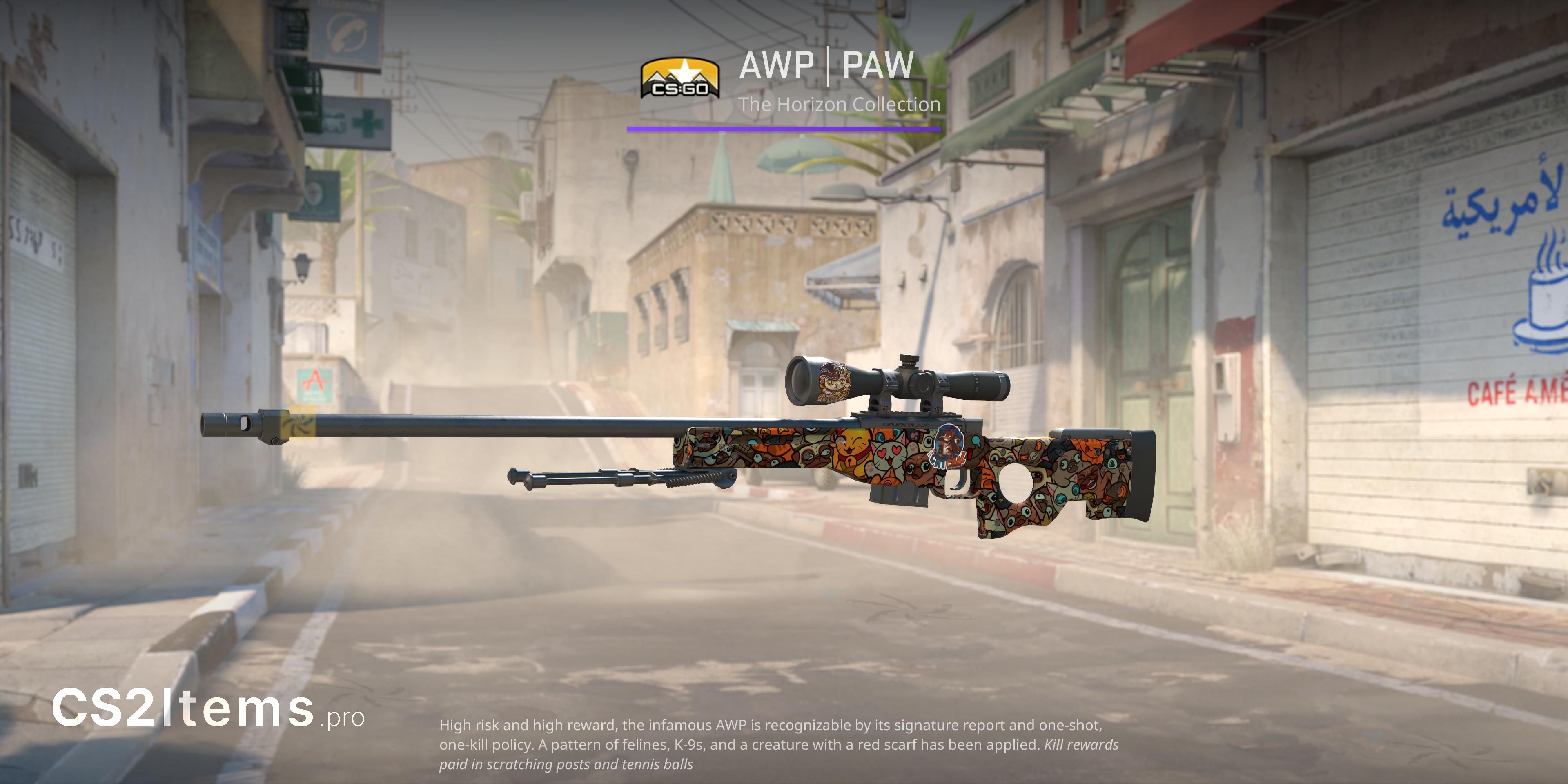 CS2 AWP | PAW Mặt trước