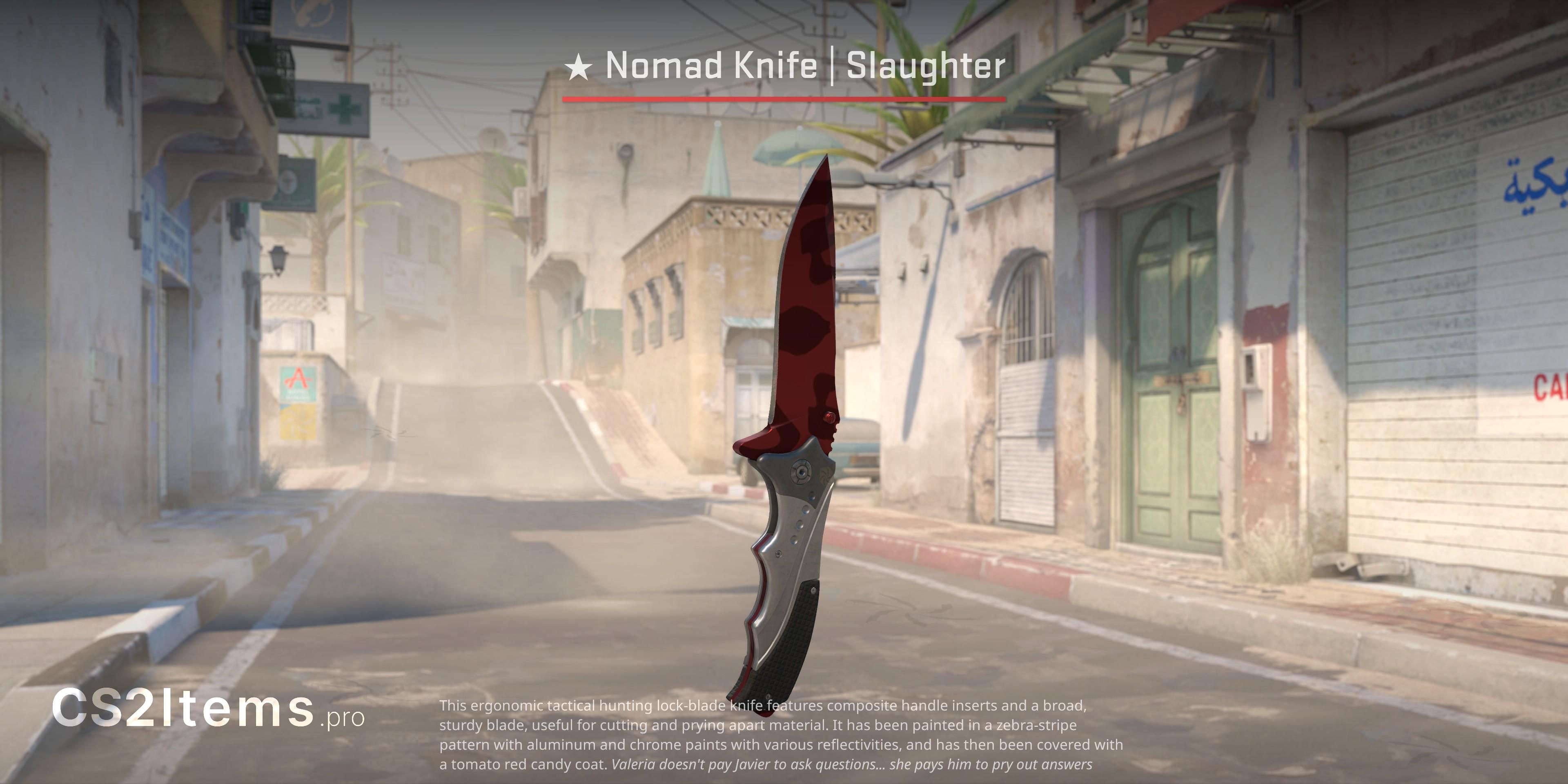 CS2 ★ Nomad Knife | Slaughter Front