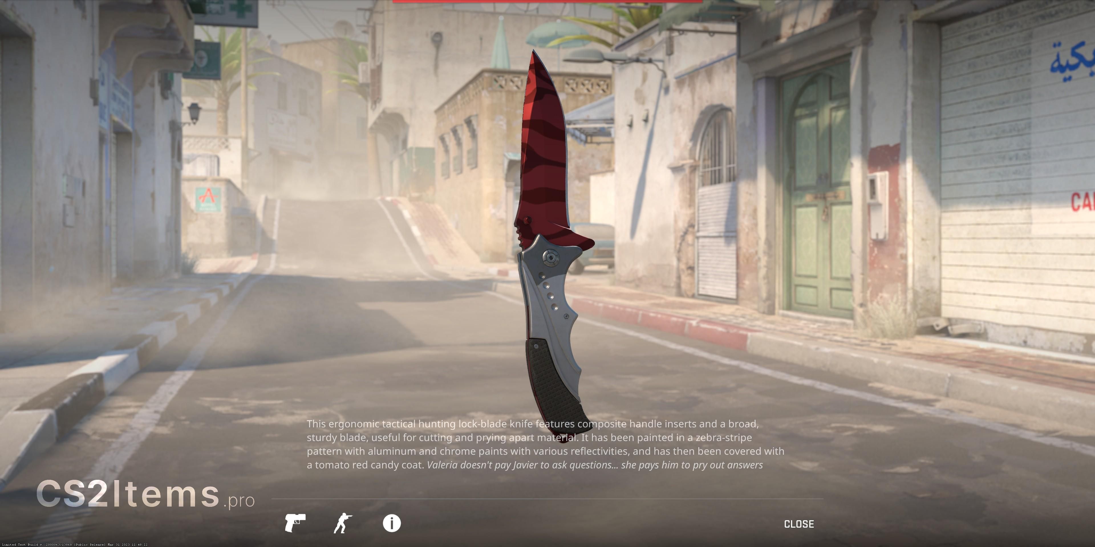 CS2 ★ Nomad Knife | Slaughter Rear