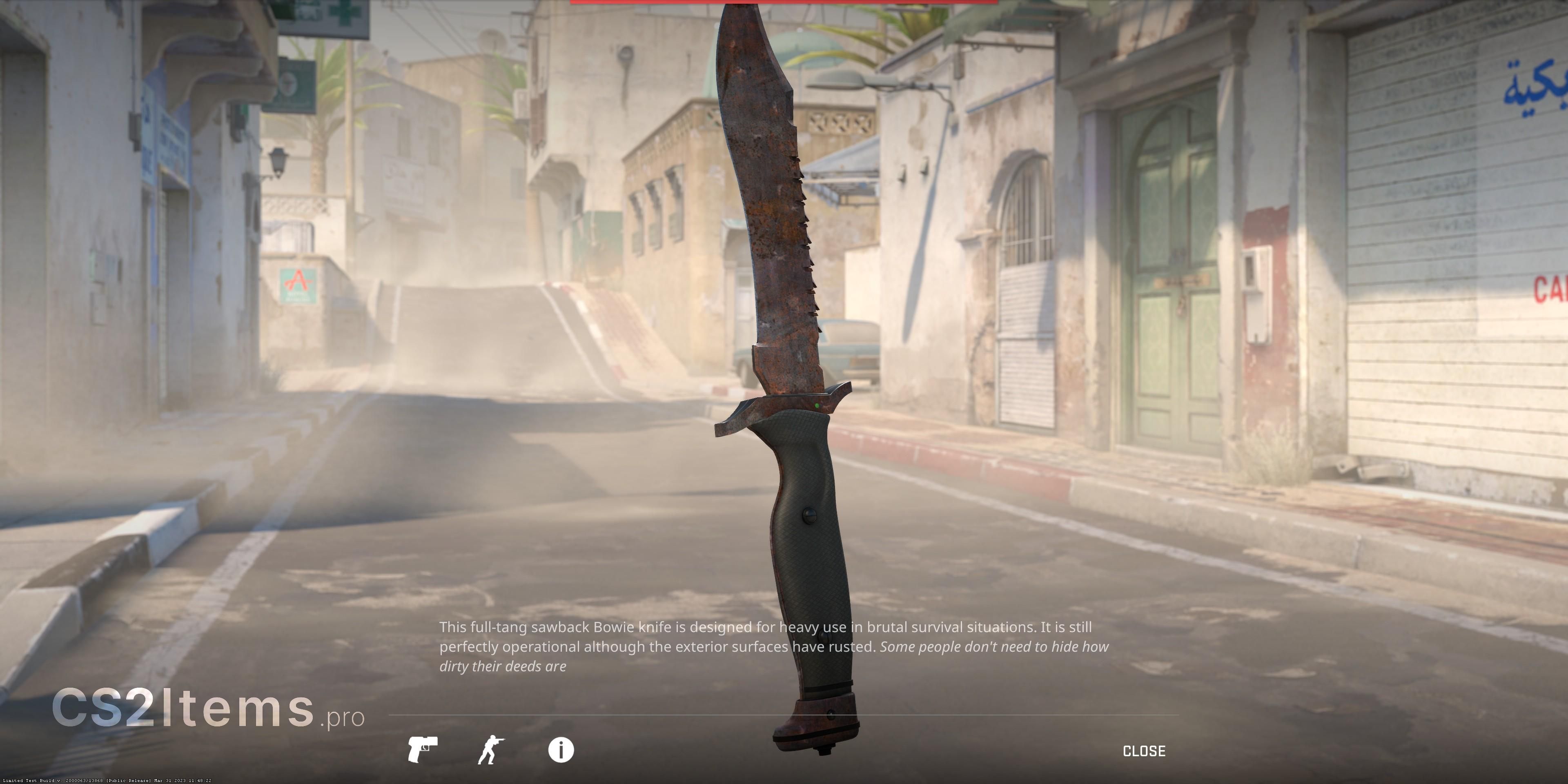 CS2 ★ Bowie Knife | Rust Coat Rear