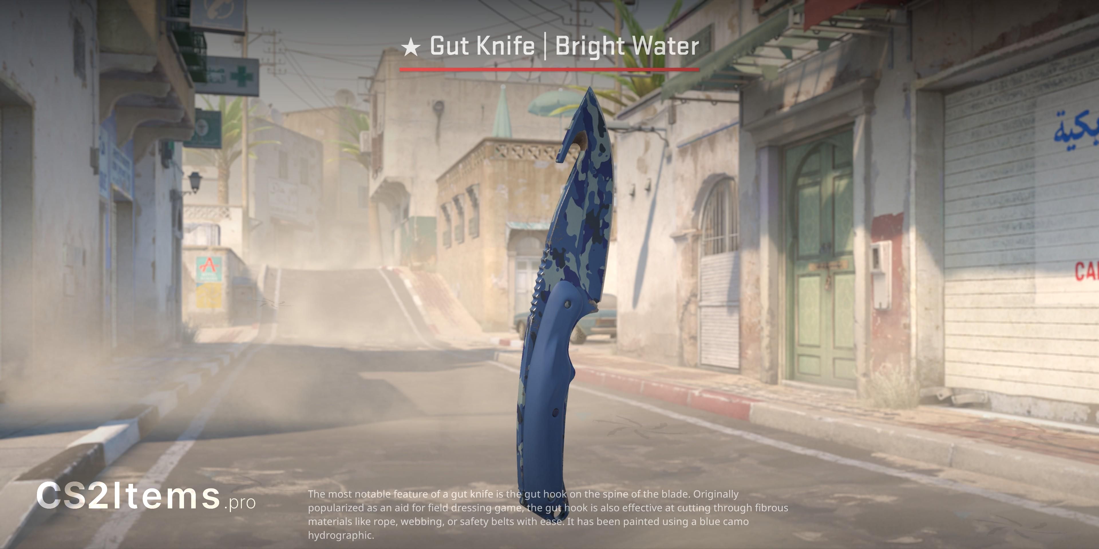 CS2 Gut Knife ★ | Bright Water Frente