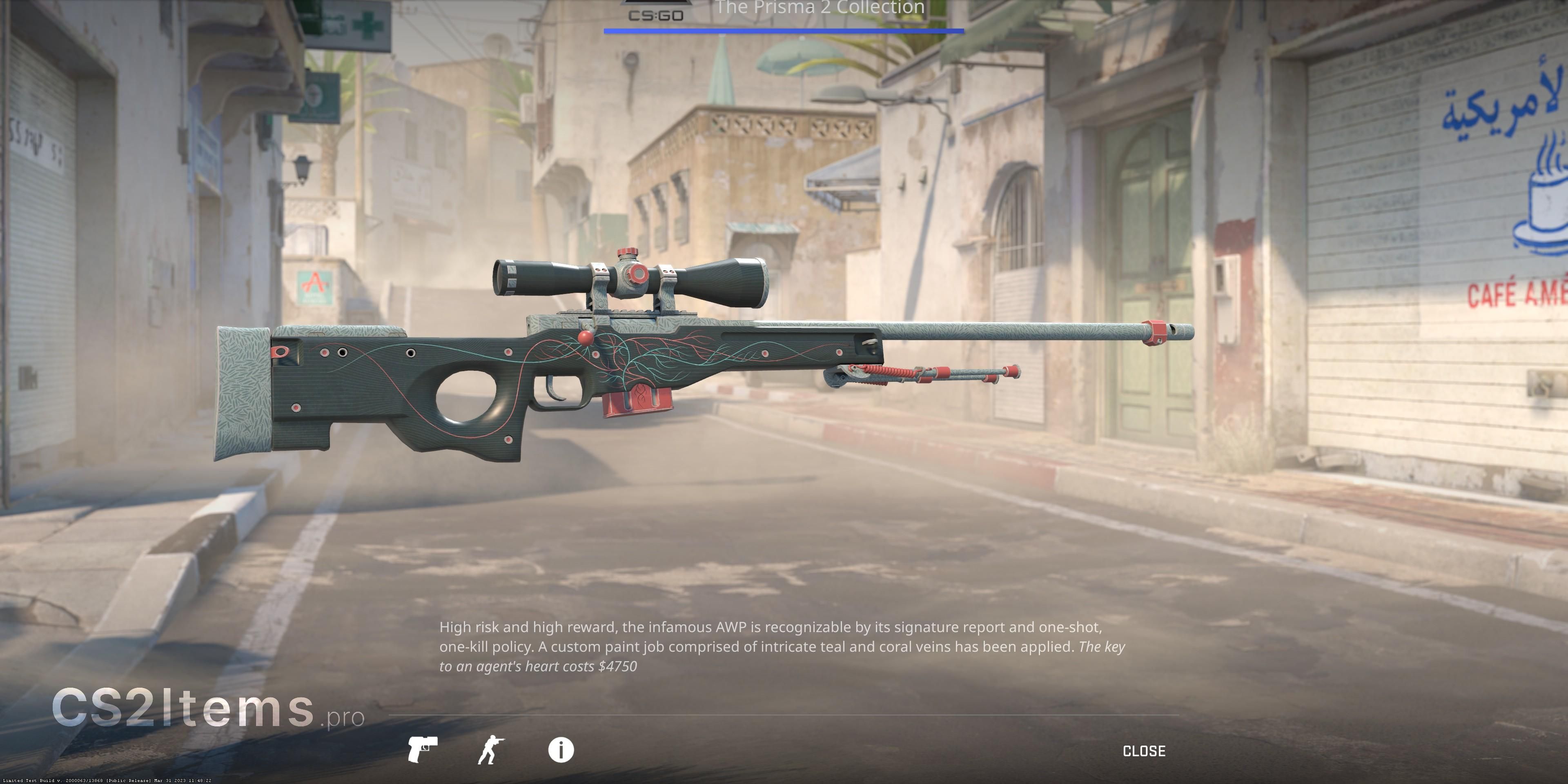 CS2 AWP | Hiussuoni Perä