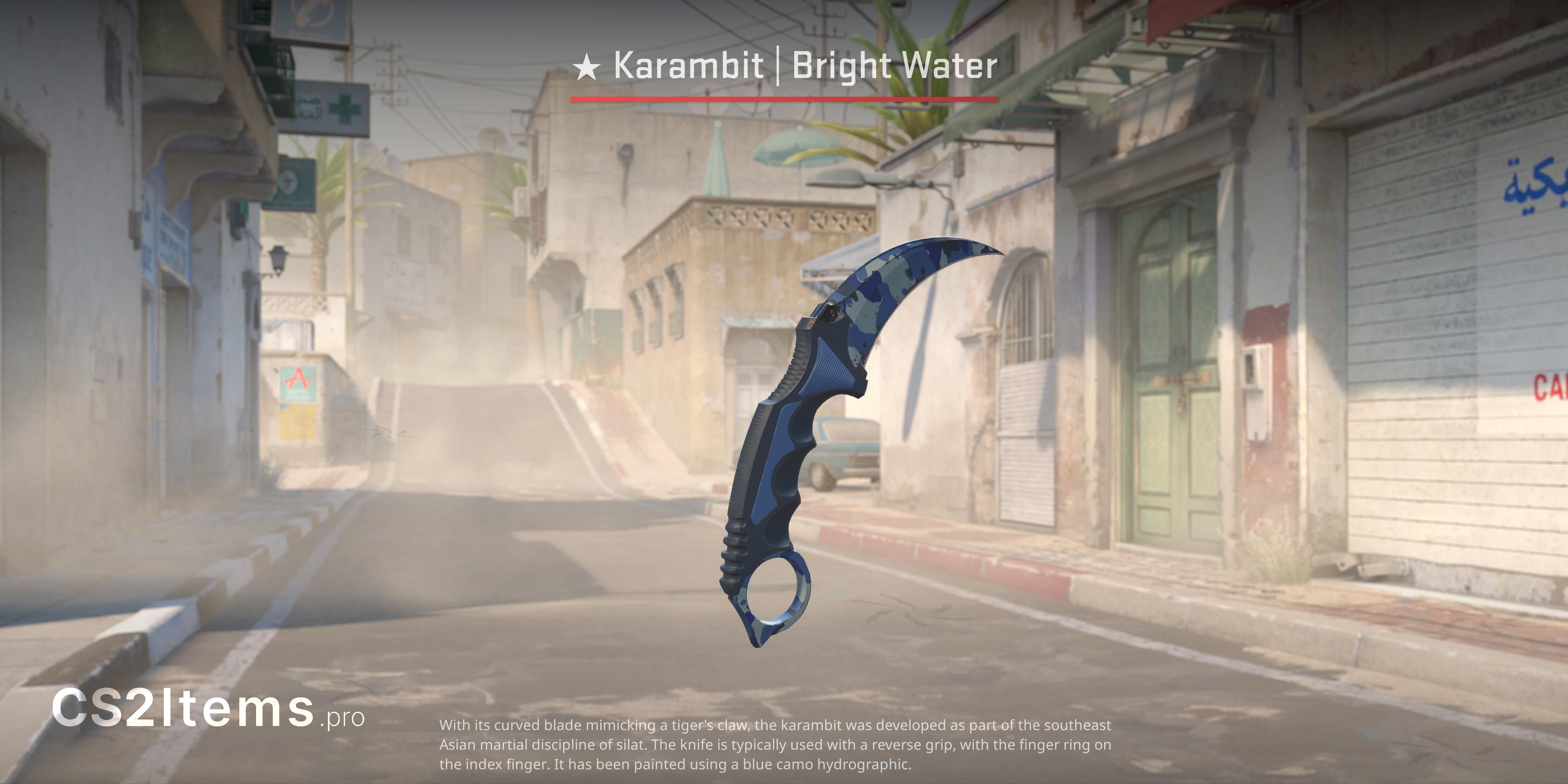 CS2 Karambit ★ | Bright Water Frente